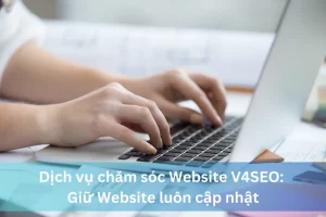 Ảnh đại diện dịch vụ chăm sóc Website của V4SEO